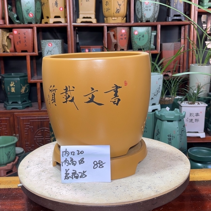 落*关注陶霸廊精品紫砂