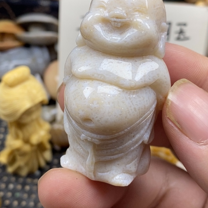 硅化珊瑚（珊瑚玉）未镶嵌颈饰