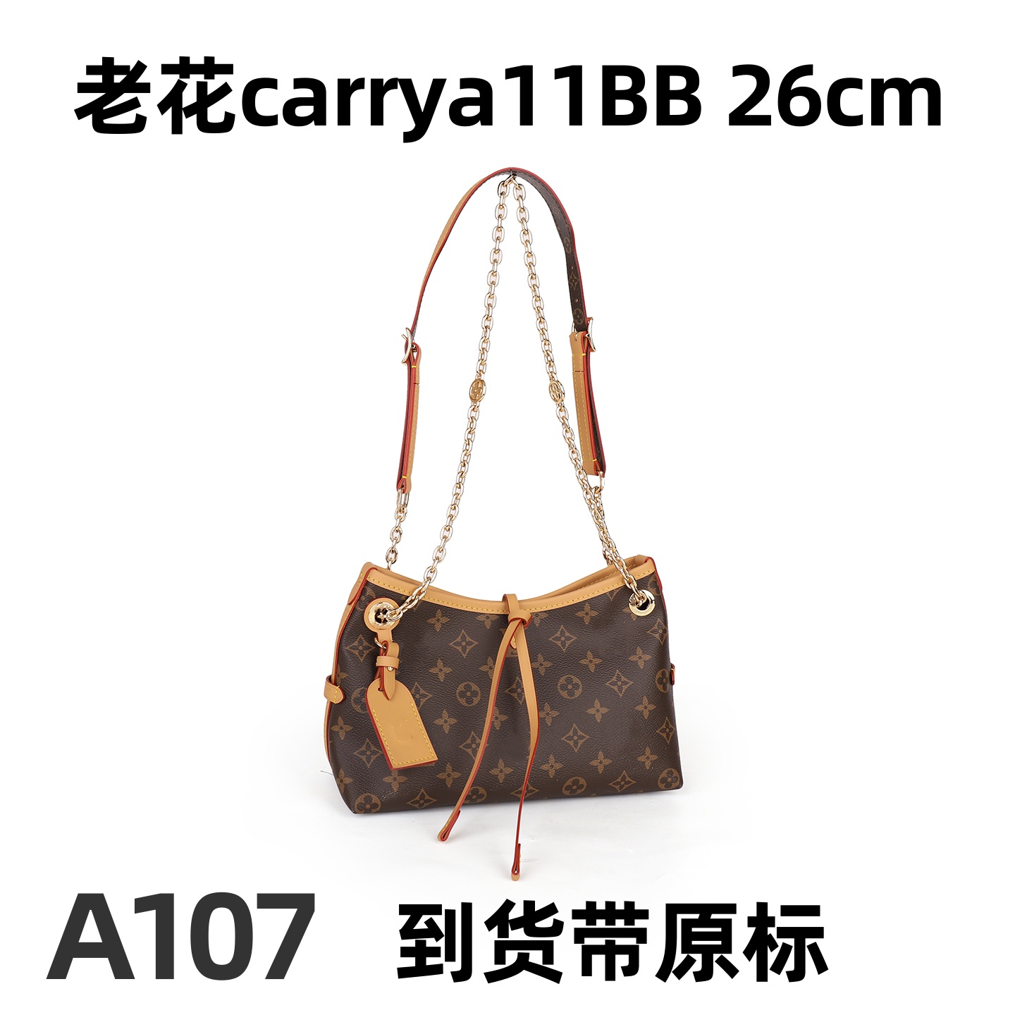 A107 老花carryallbb 26cm【里外标全对】现货带礼盒包装单肩包