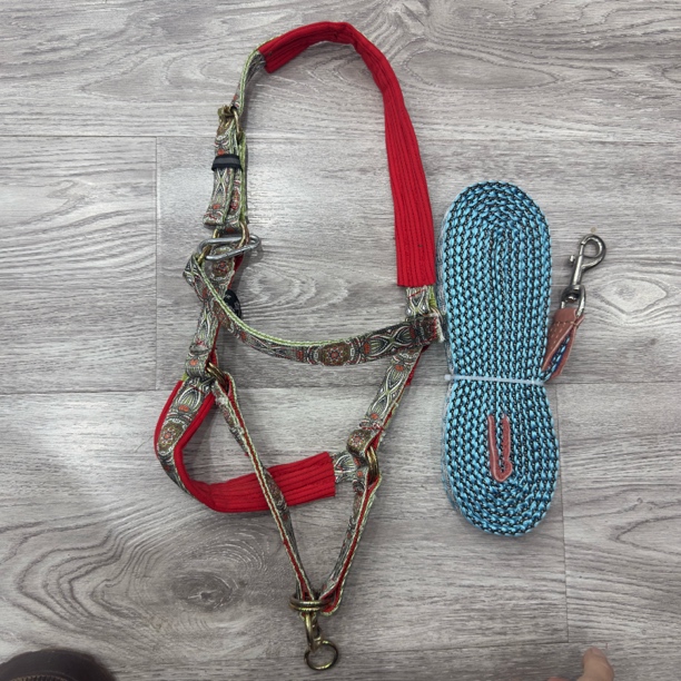 小马龙头一套带缰绳加厚双层可调节