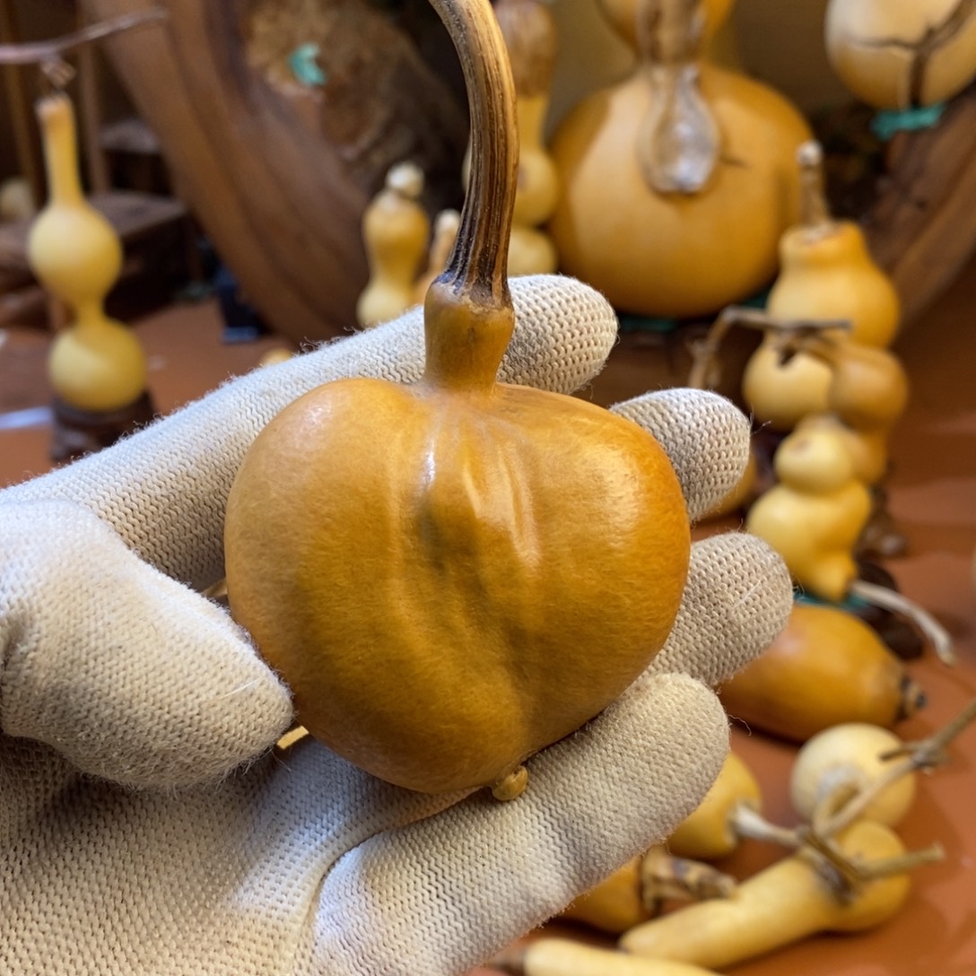 开***心教练来咯哦哦教练咯