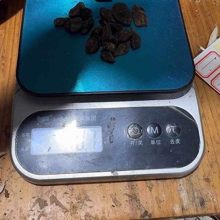 木质纯铜沉水树丁10克