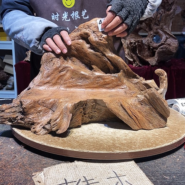 厚***物445。株木随行根艺