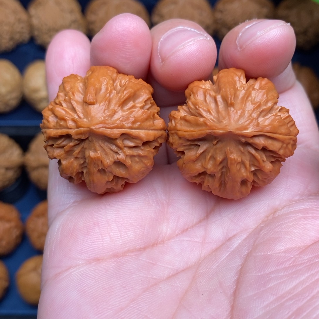 文玩核桃把件卧***弓手捻粗筋