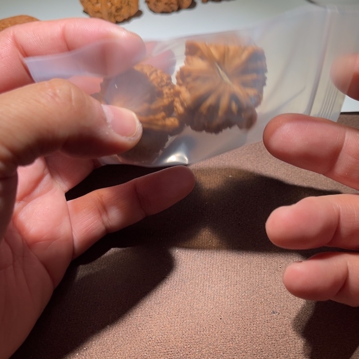 青***✘精品白狮子40尺寸