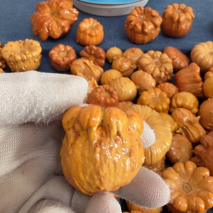 风***幻墨西哥七彩疙瘩葫芦瑕疵不退货