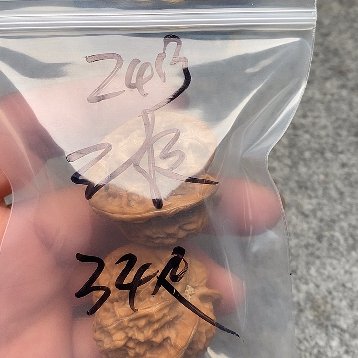 全***制吊坠文玩核桃三棱