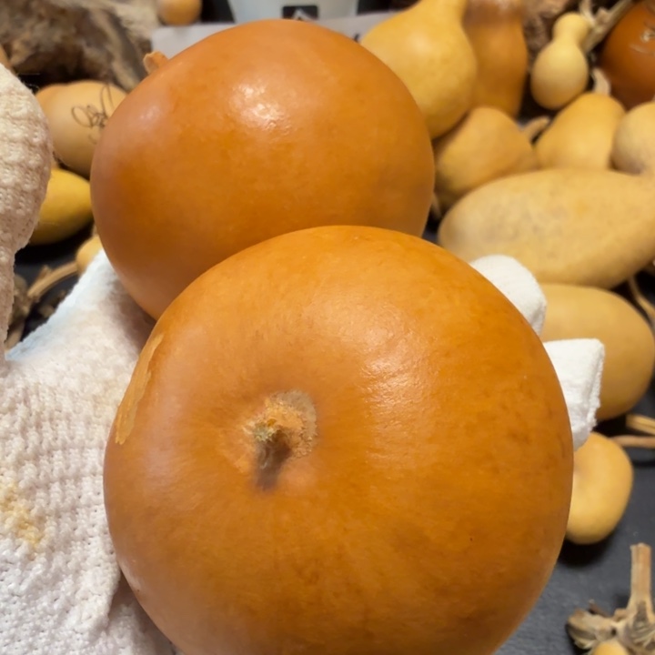 全***哥有瑕疵66666）hhhhhhuuji