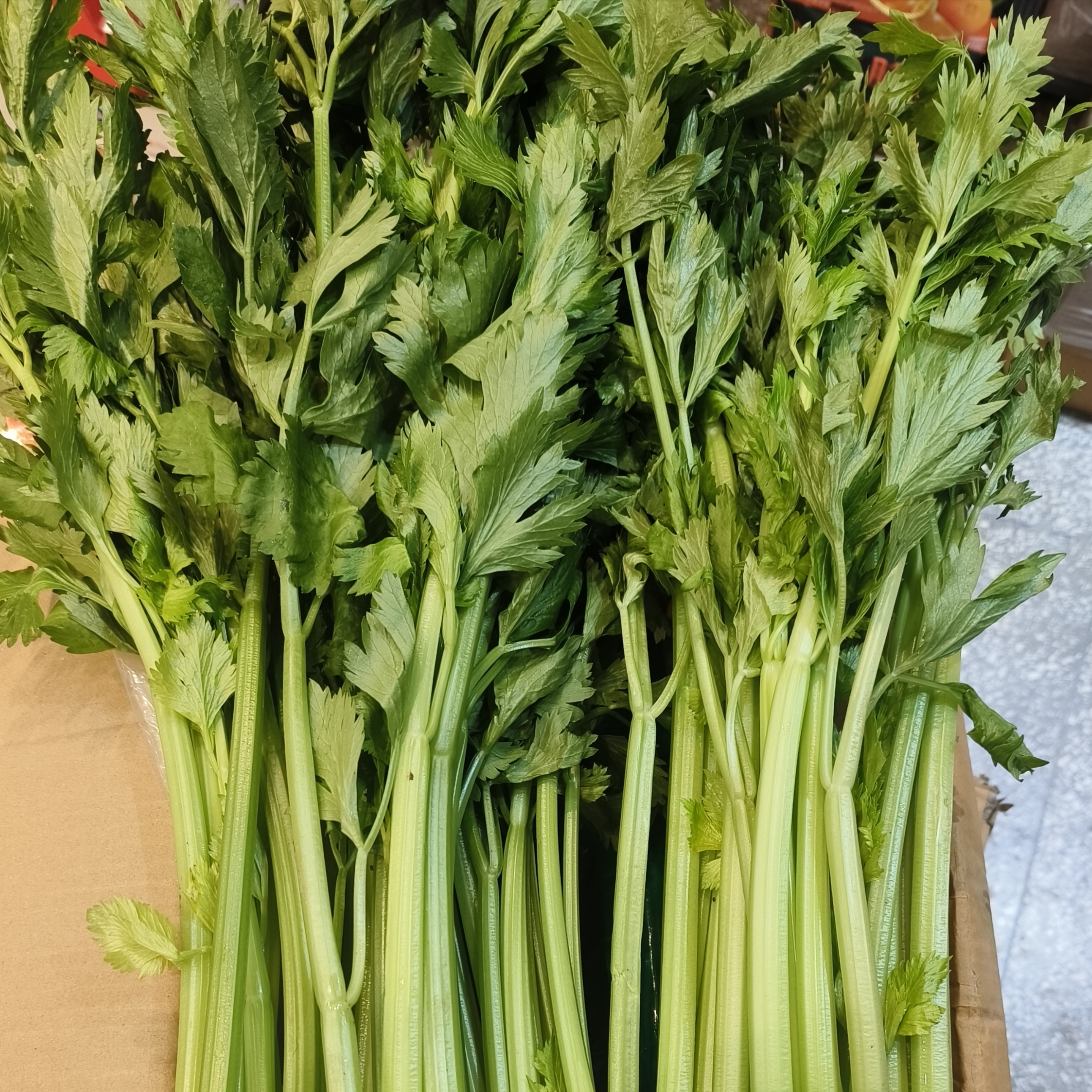 （到店自提）芹菜（1.99元2斤）