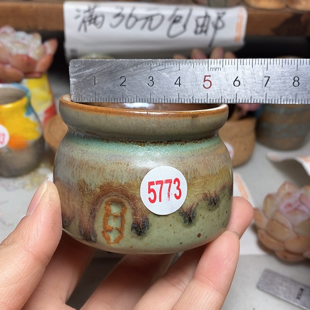 红陶拍5送一个小，