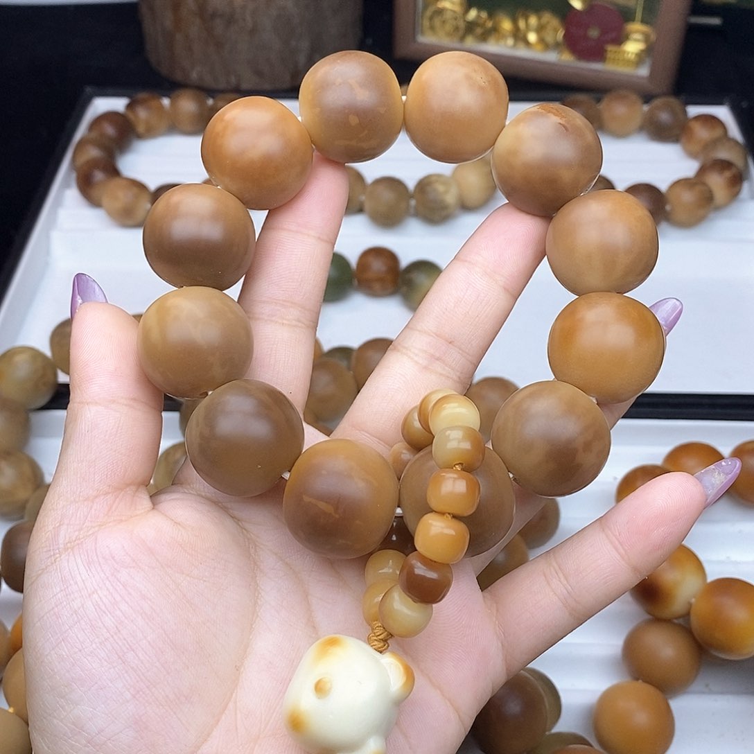 菩提根/象牙果吊坠肉*煲肉肉