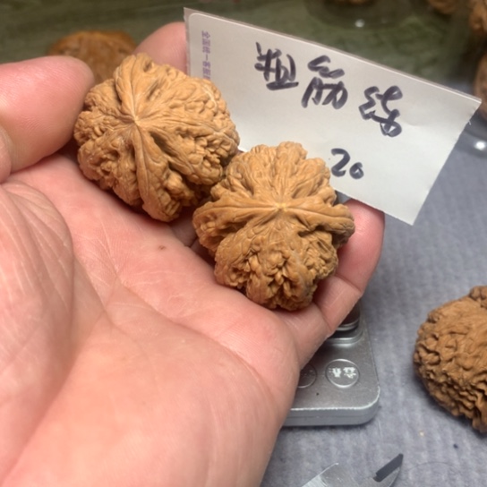 文玩核桃吊坠粗筋练