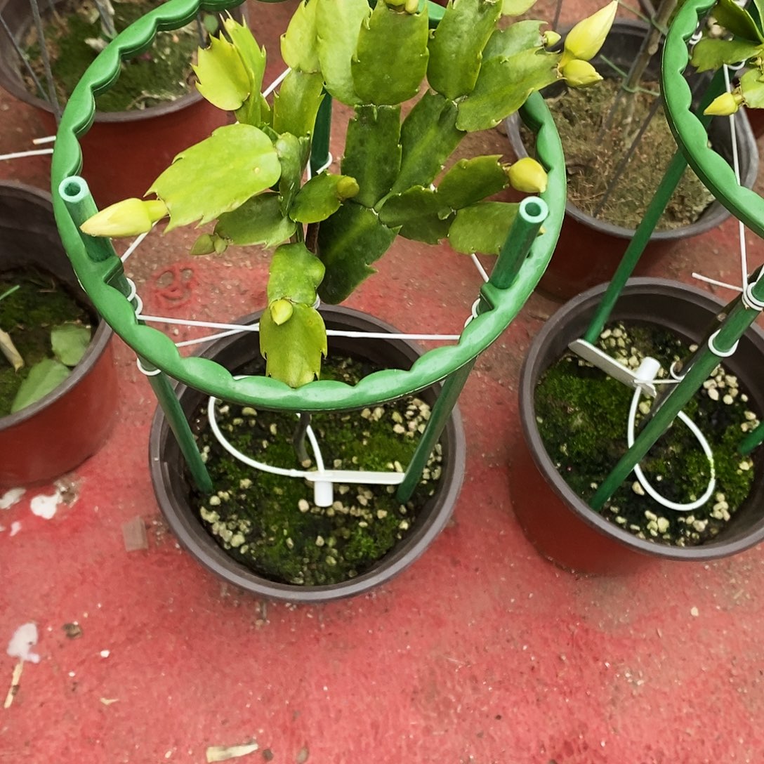 用***2完全开放福利款单层