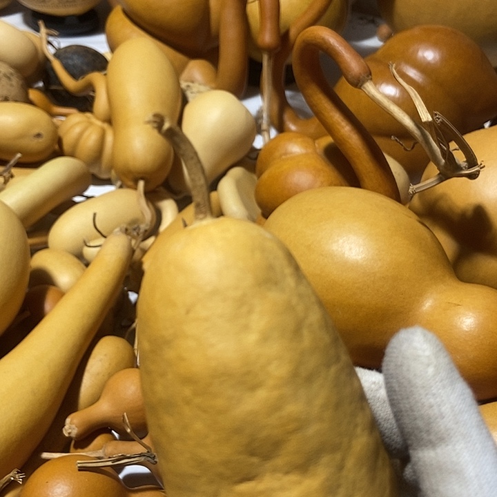 车***夫直播间里的拍品链接