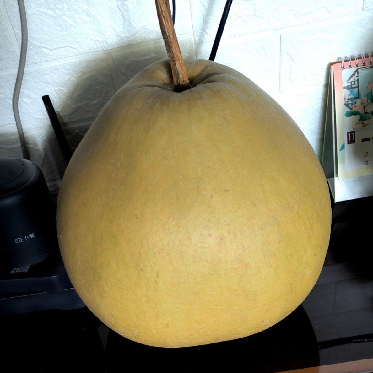 菜葫芦瓢葫芦大瓢葫芦文玩观赏种植种子