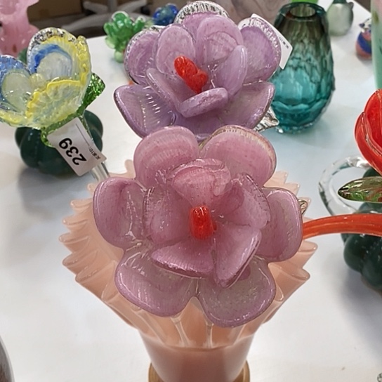 琉璃夜光花高45厘米