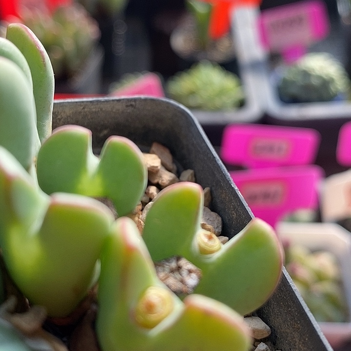 这么多年过去都过去989