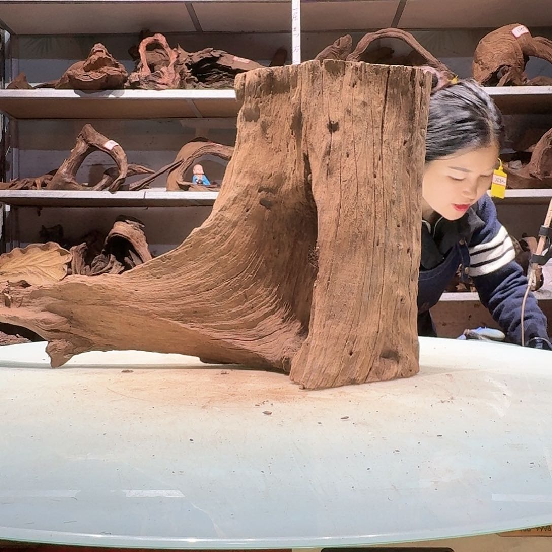 倍褚沉木不包损必褪色修6662