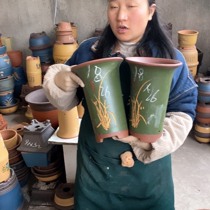 紫砂花盆盆栽花卉苗木种植