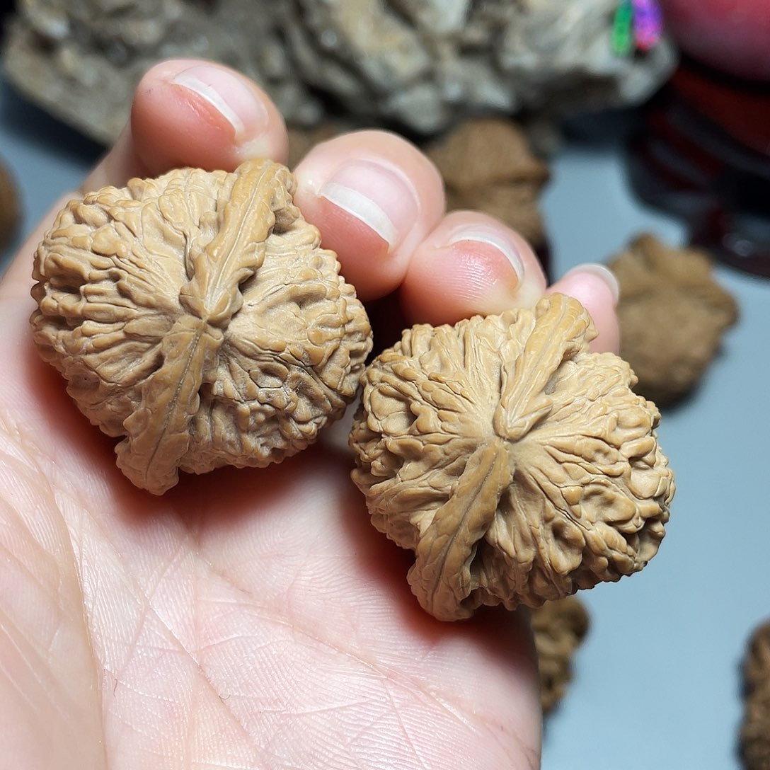 核桃手串/手链?**头精品白狮子35加
