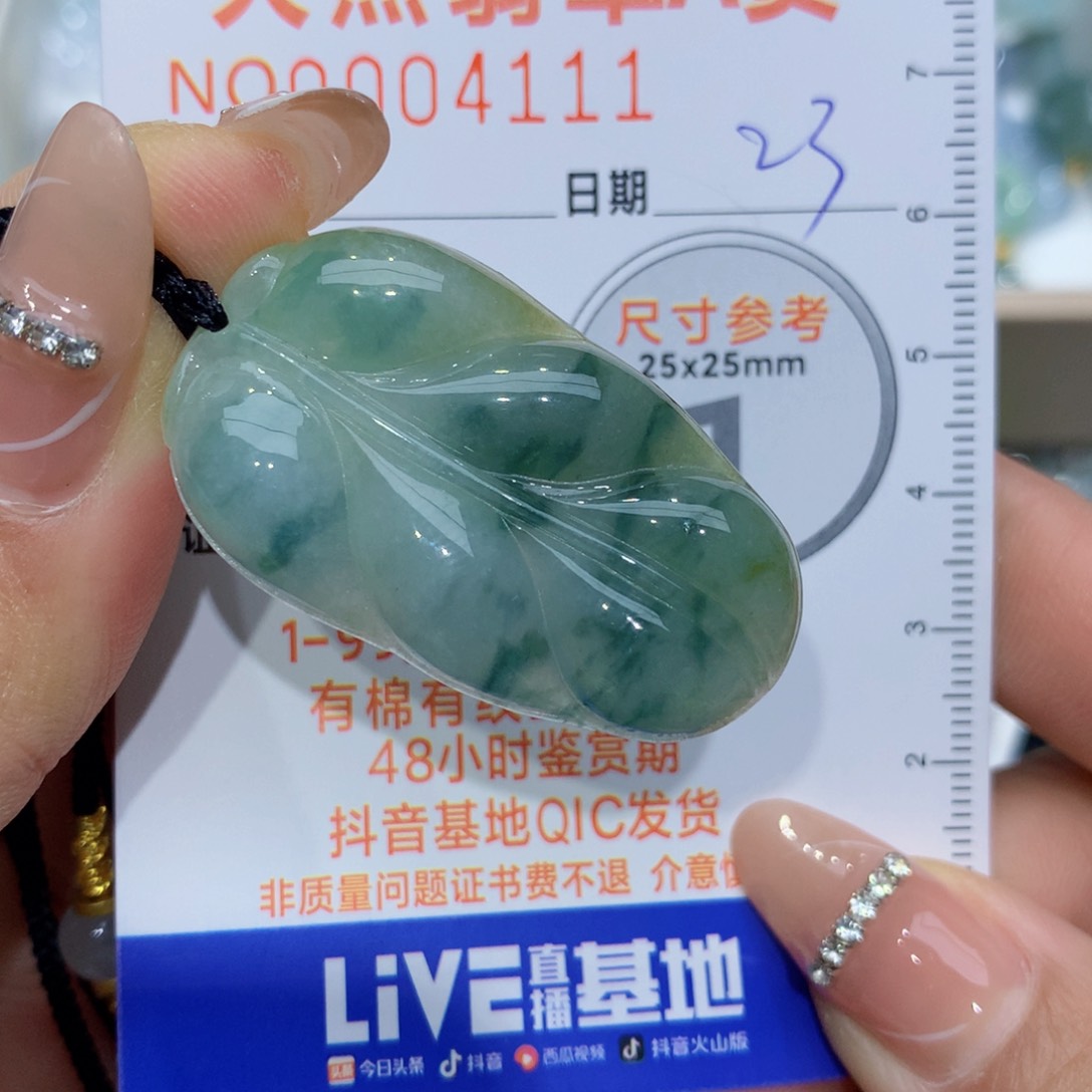 翡翠颈饰未镶嵌叶子