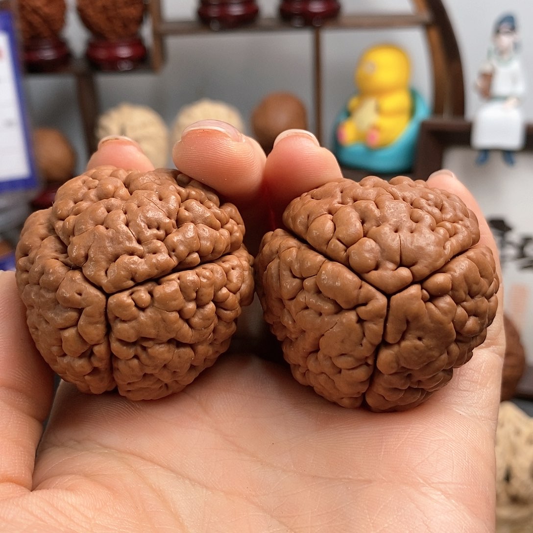 文玩核桃把件三瓣脑纹金刚爆肉4345