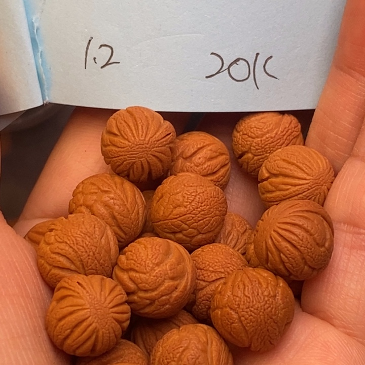 桃核吊坠秦岭龙纹桃核12