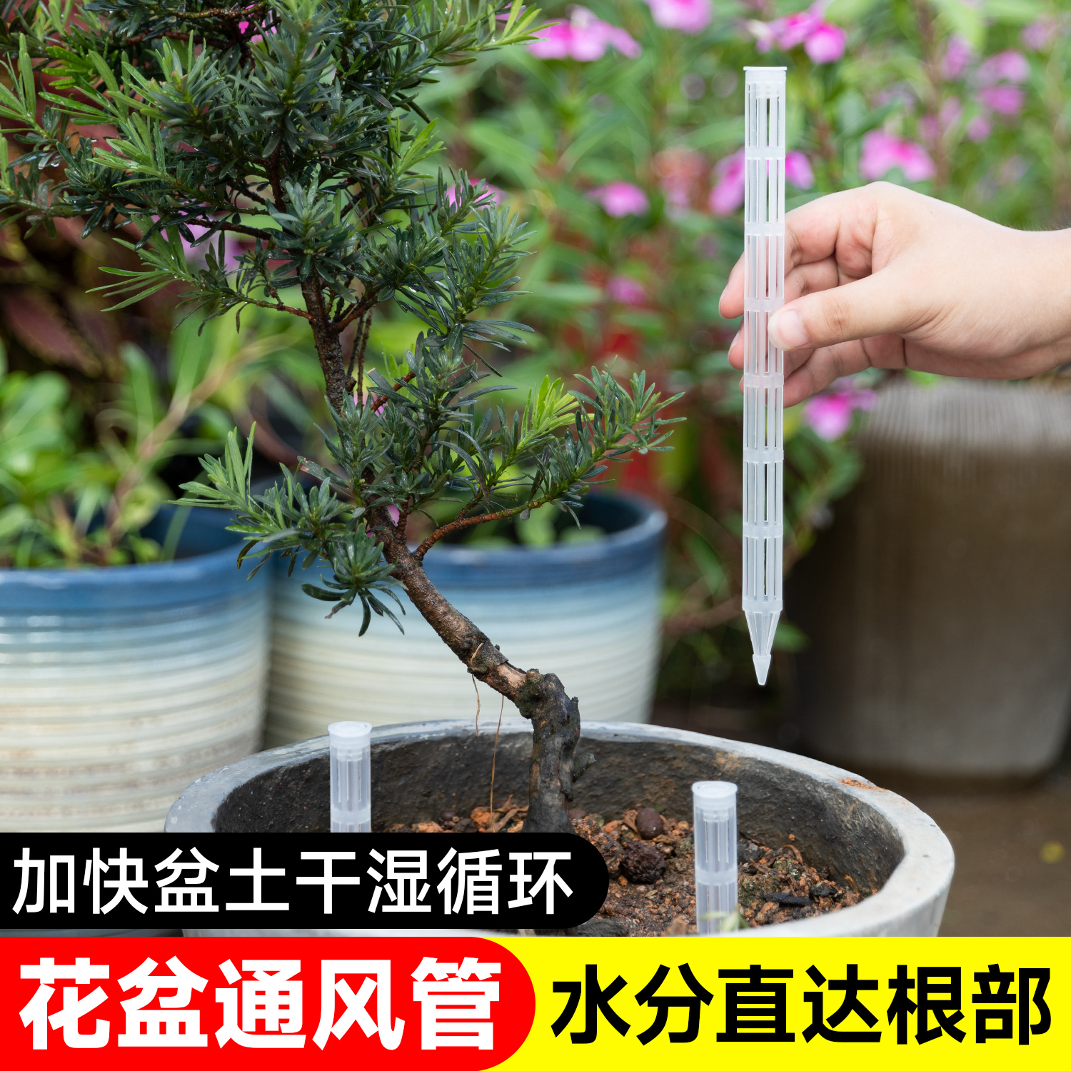 盆土通气管干湿循环通风管控根透气防闷根烂根爆根生根土壤通风商品图