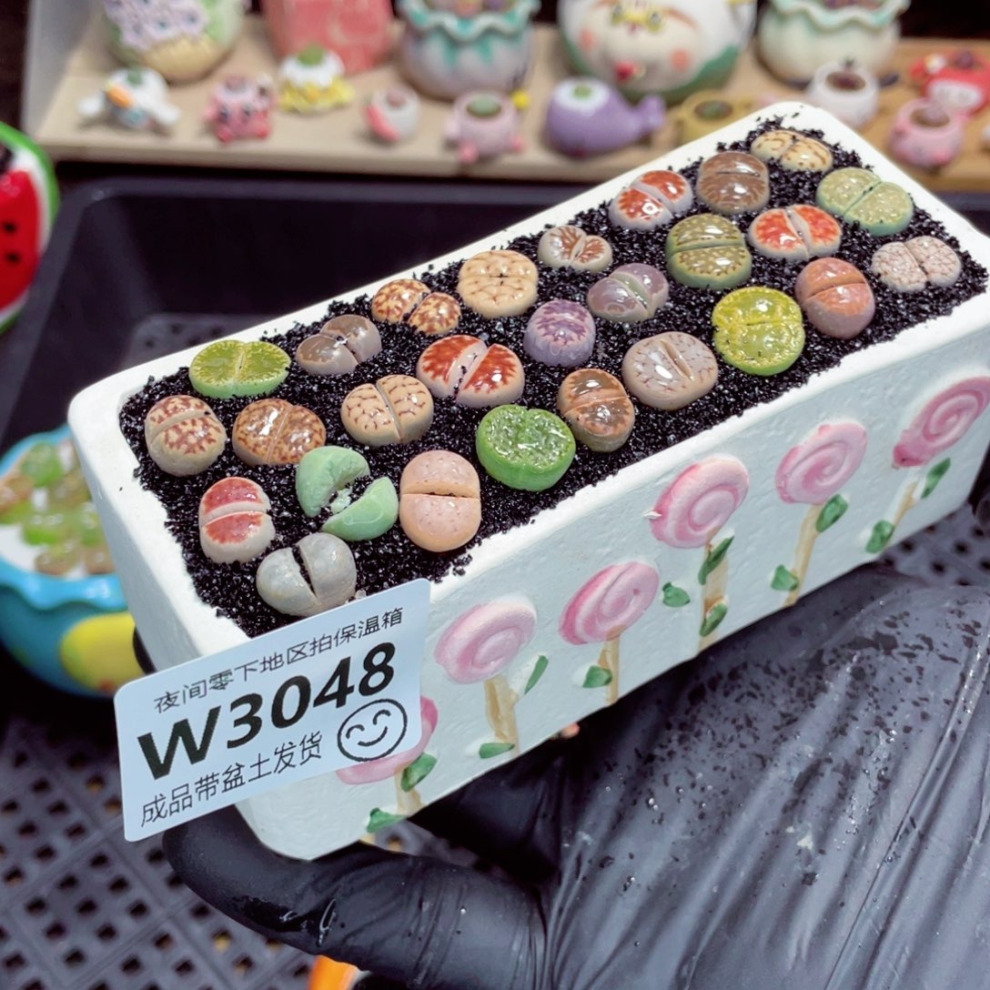 夜间零下地区拍保温箱w3048