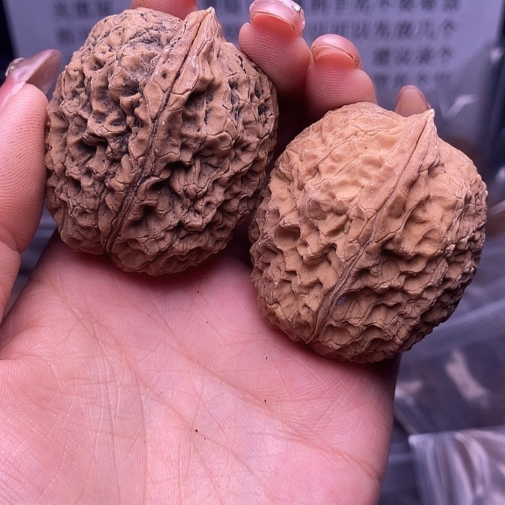 核桃云南野生铁核桃50号41mm