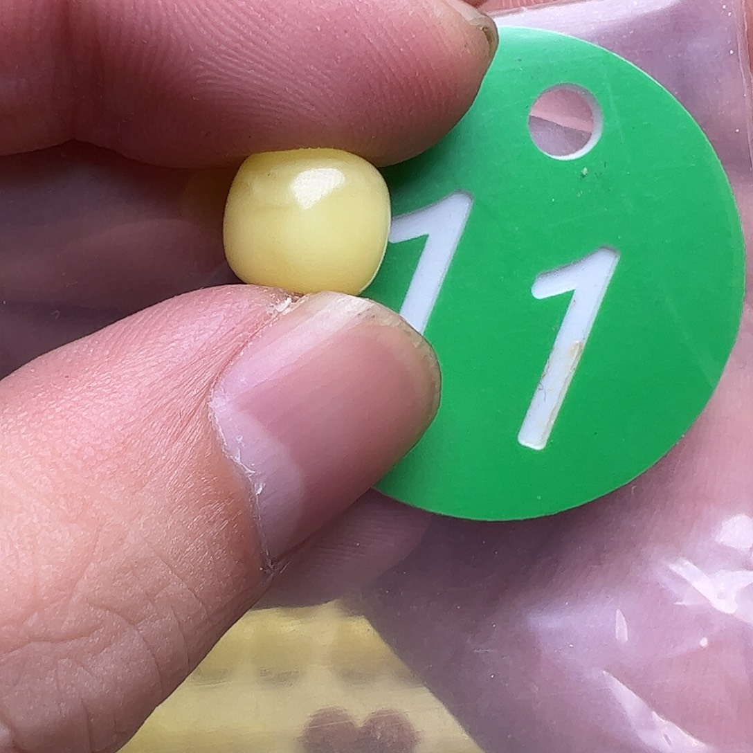 蜜蜡未镶嵌珠宝奇石D****偲