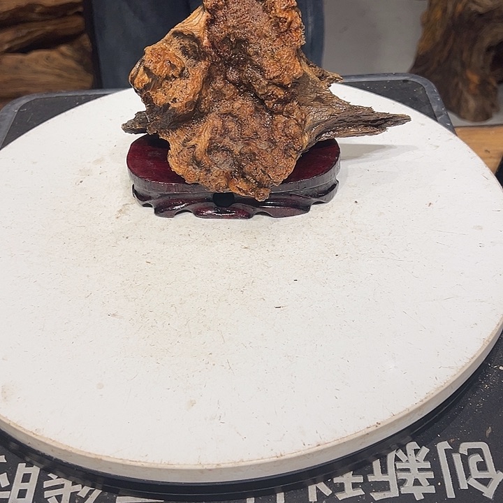松木（琥珀木）尘*生