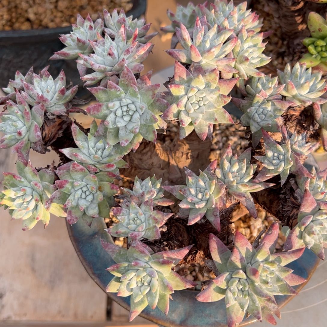 静*哈哈哈哈哈哈哈