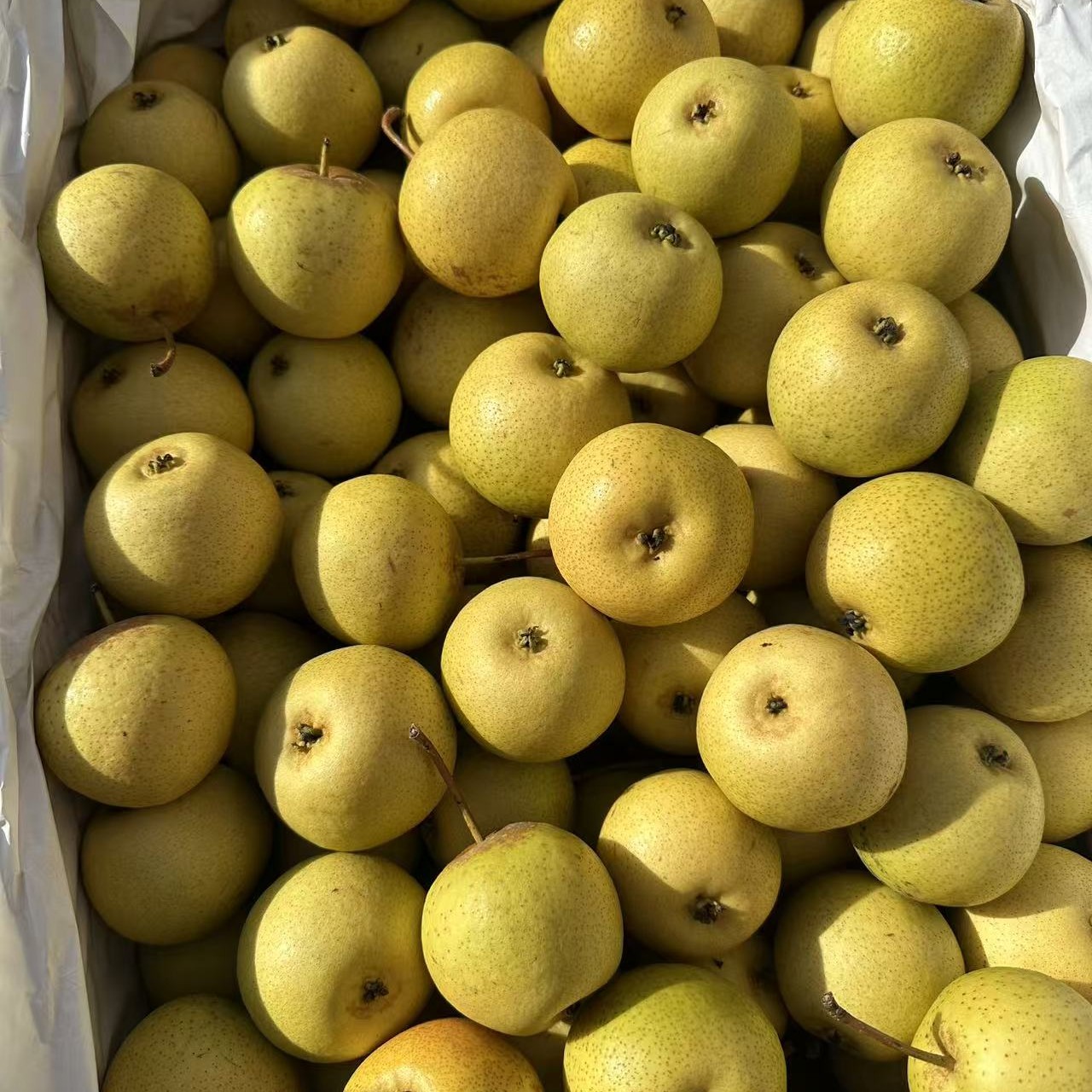 辽宁发货，老品种细皮花盖，酸甜可口净重5斤顺丰包邮