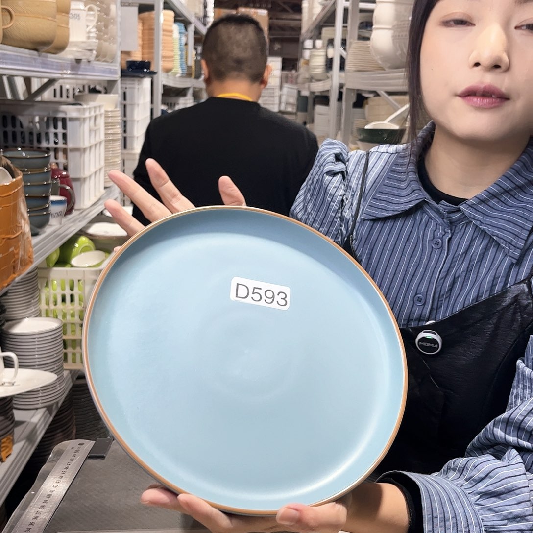 瓷片593                2个