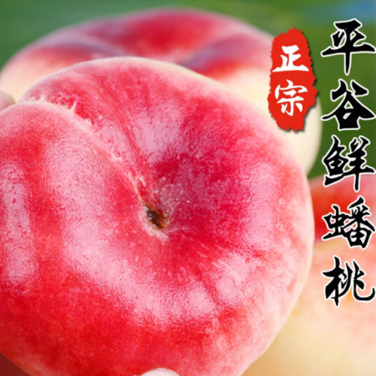 北京平谷红毛蟠桃北京市