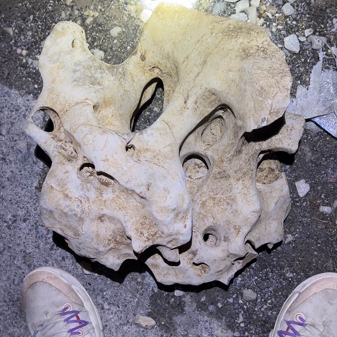 哈哈哈哈哈哈哈哈