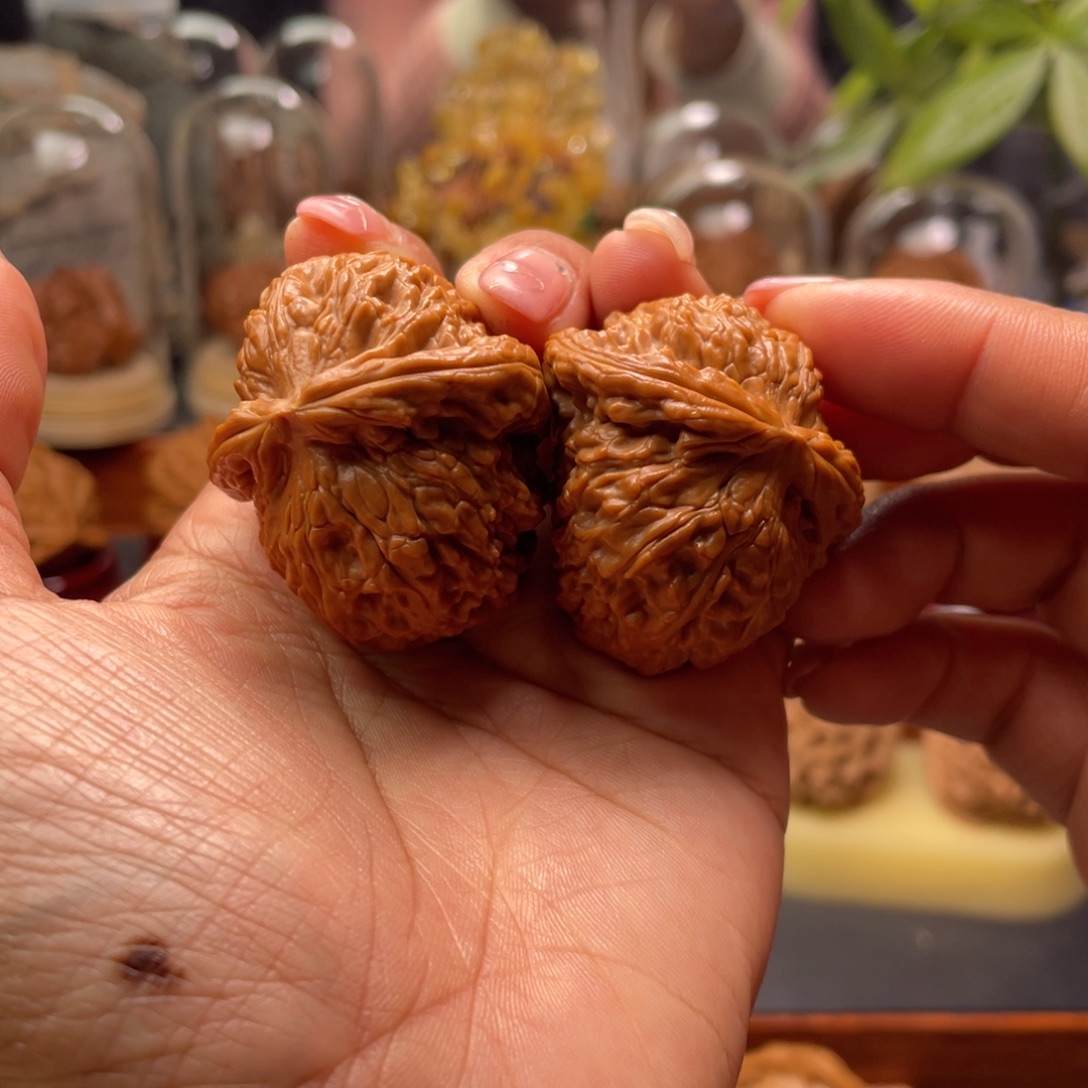 文玩核桃把件白狮子半壁江山