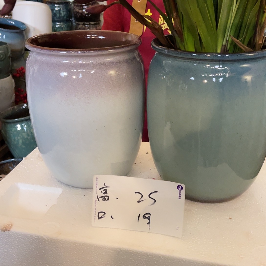 红陶高度25口径19