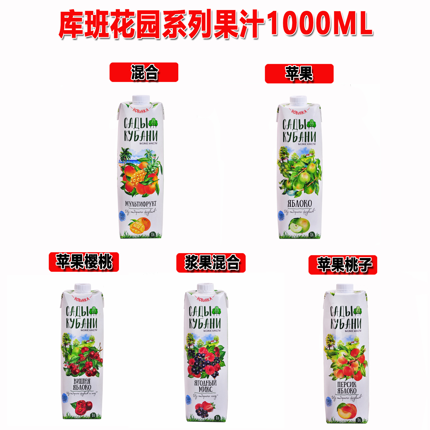 俄罗斯原装原瓶进口果汁随机发4瓶1000ml