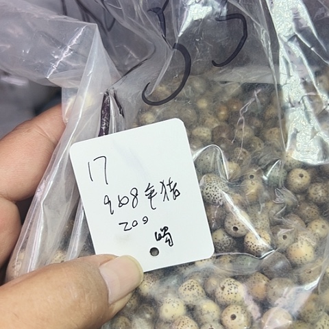 吊坠星月菩提17号