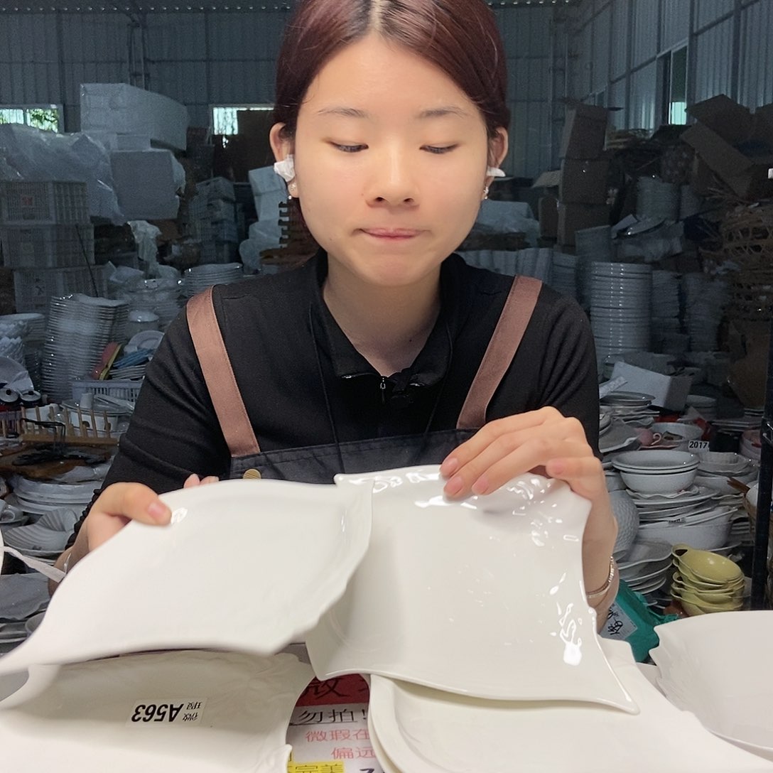 【闪购商品】碟工厂微瑕介意勿拍…………5个