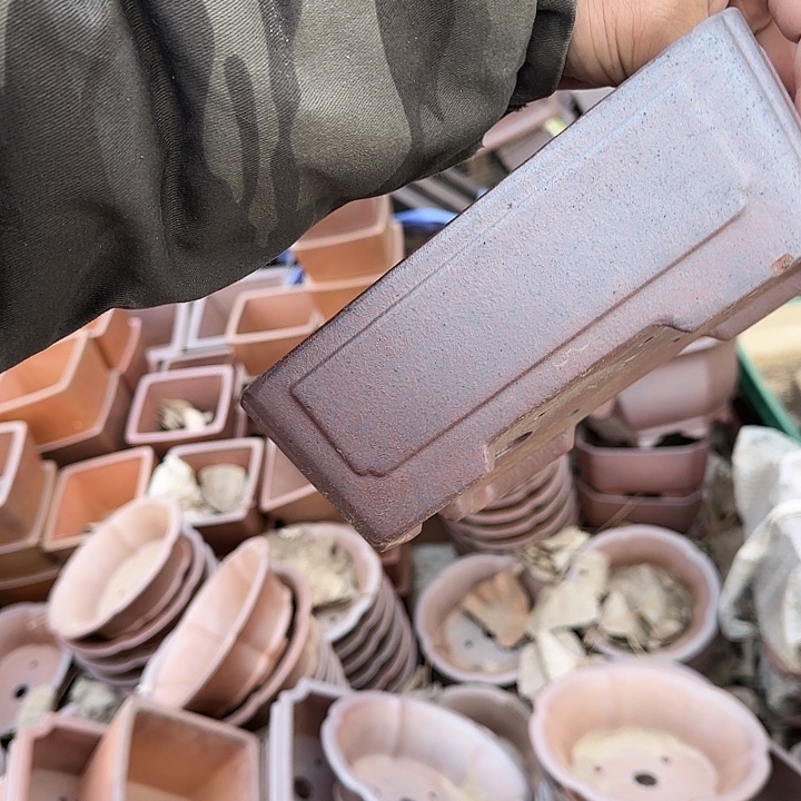 这一期太有意思咯好棒好可爱呀太