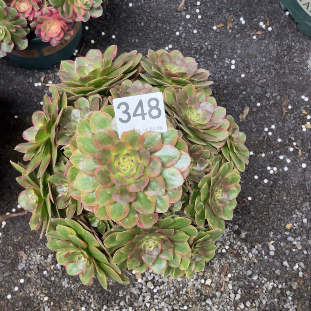 我是真的很喜欢这个