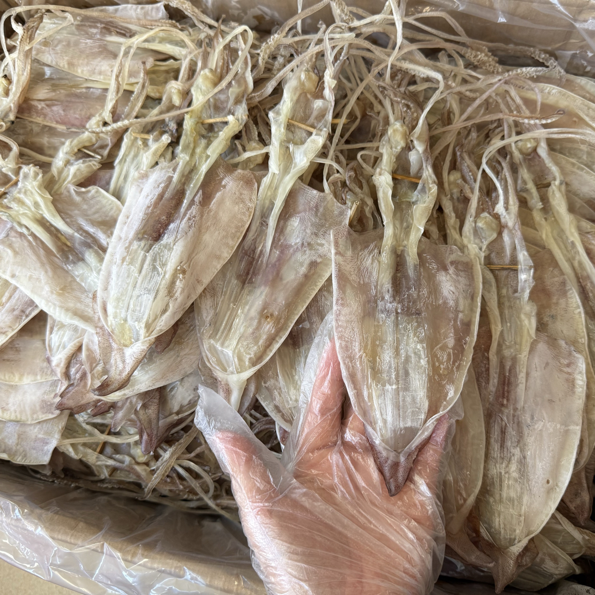 汕尾本港中大个钓鱿鱼干八九成干炒菜炒饭海鲜粥适用