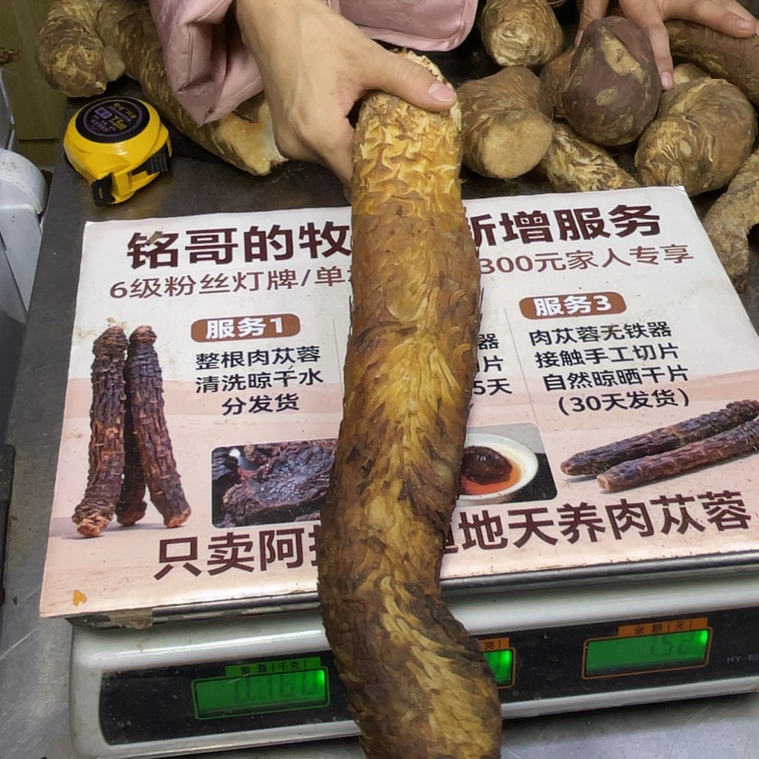 中国大陆760克整根