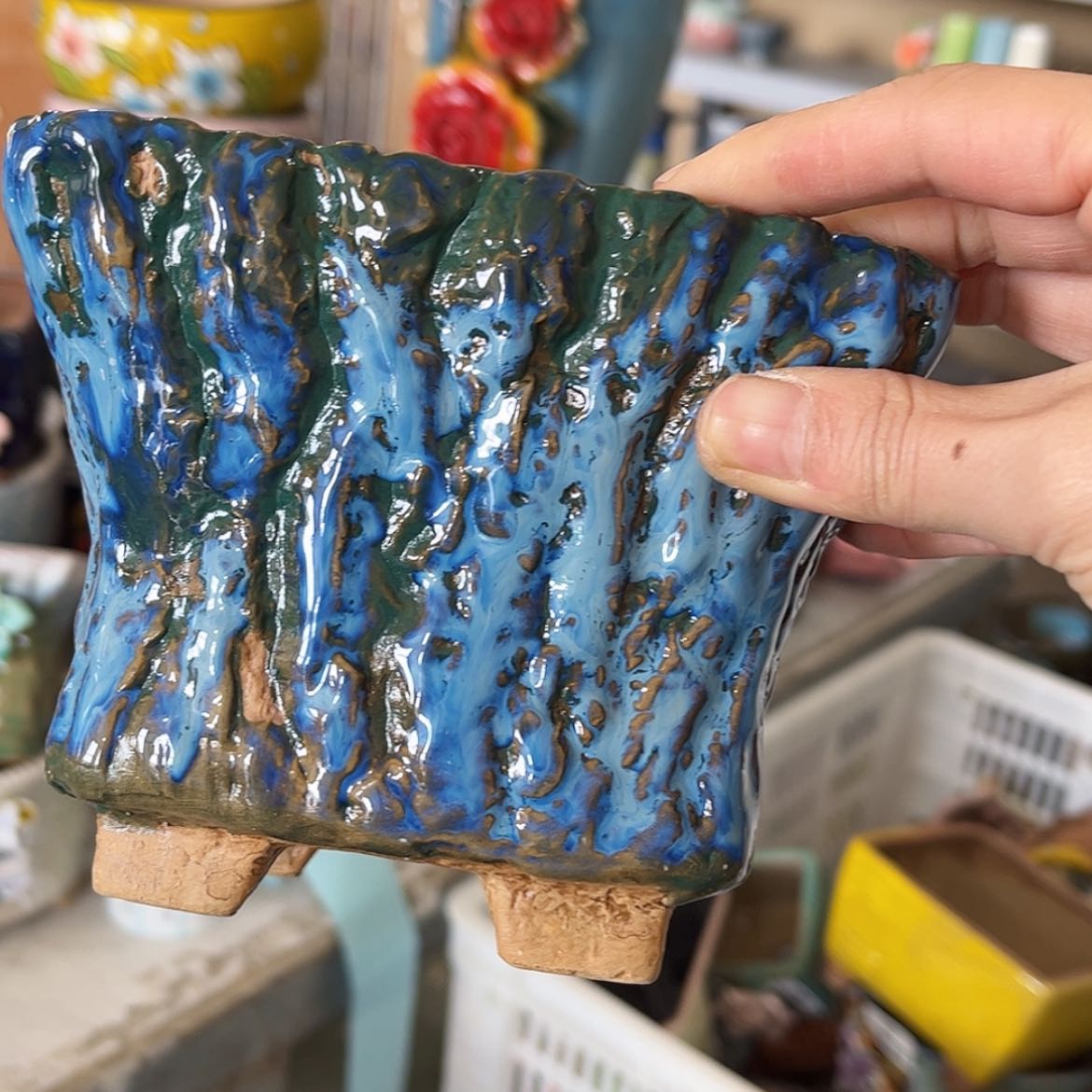 【闪购商品】红陶福利