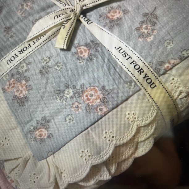 皱皱沙（单）双人被套 欧式田园 四季通用 宿舍被套可水洗机洗（燕）