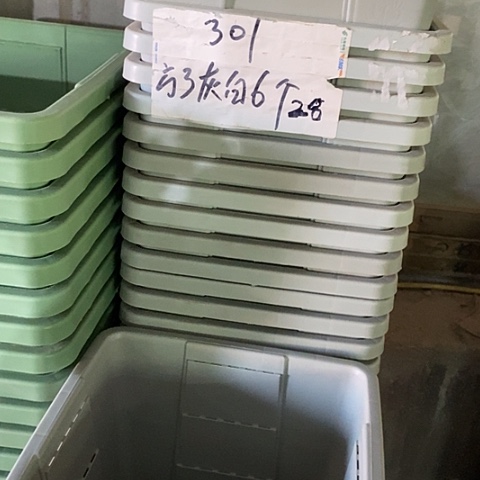 树脂编号301无托6个