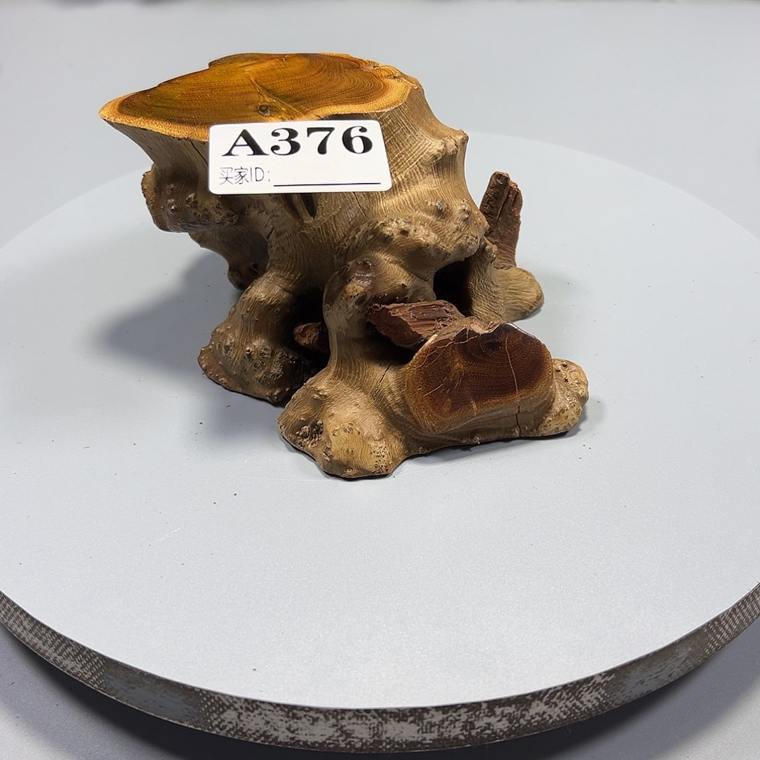 大果紫檀（缅甸花梨）图****圆